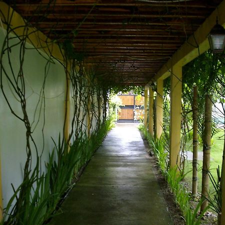 绿色庭院酒店 Manoc-Manoc 外观 照片
