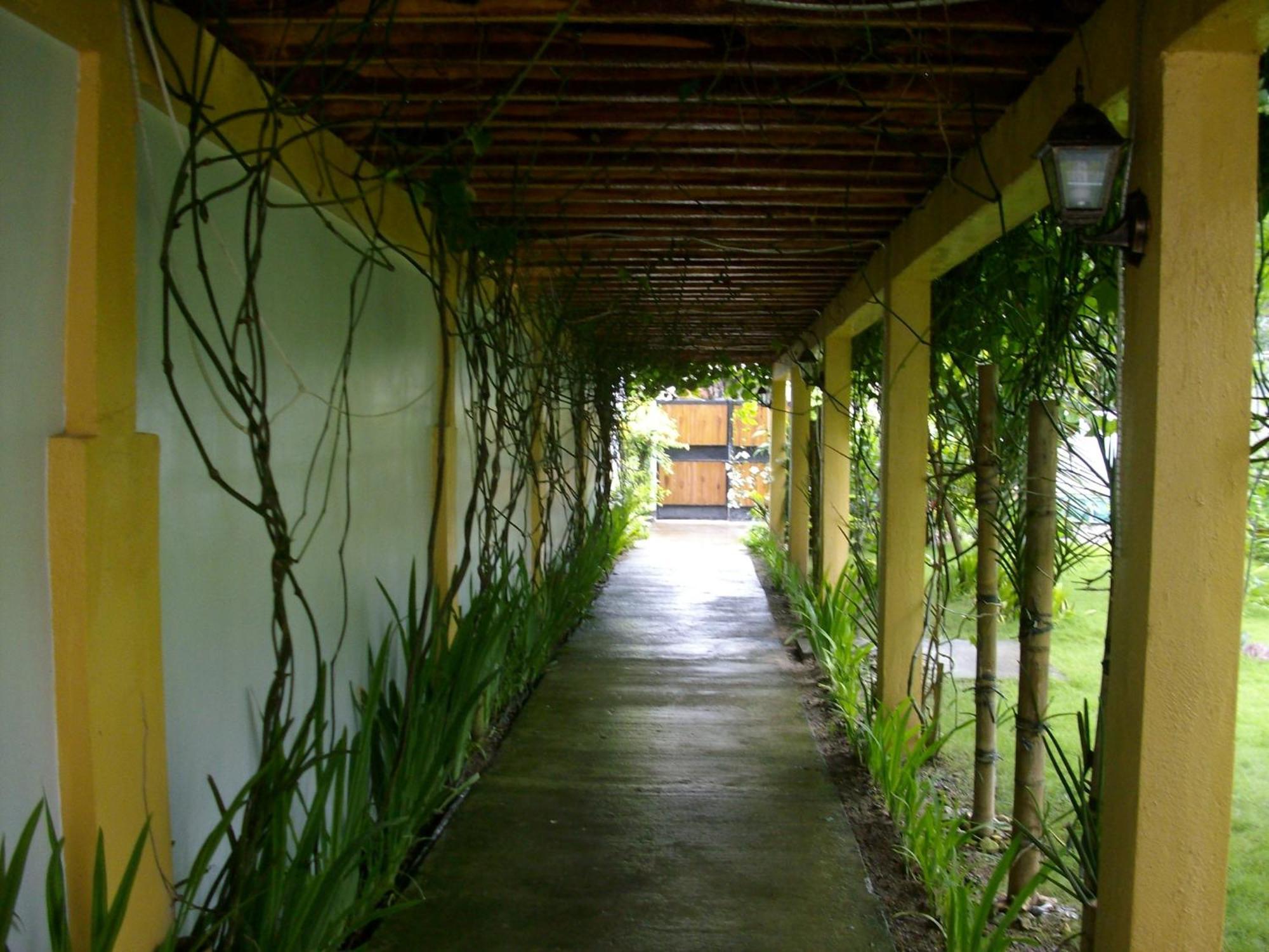 绿色庭院酒店 Manoc-Manoc 外观 照片